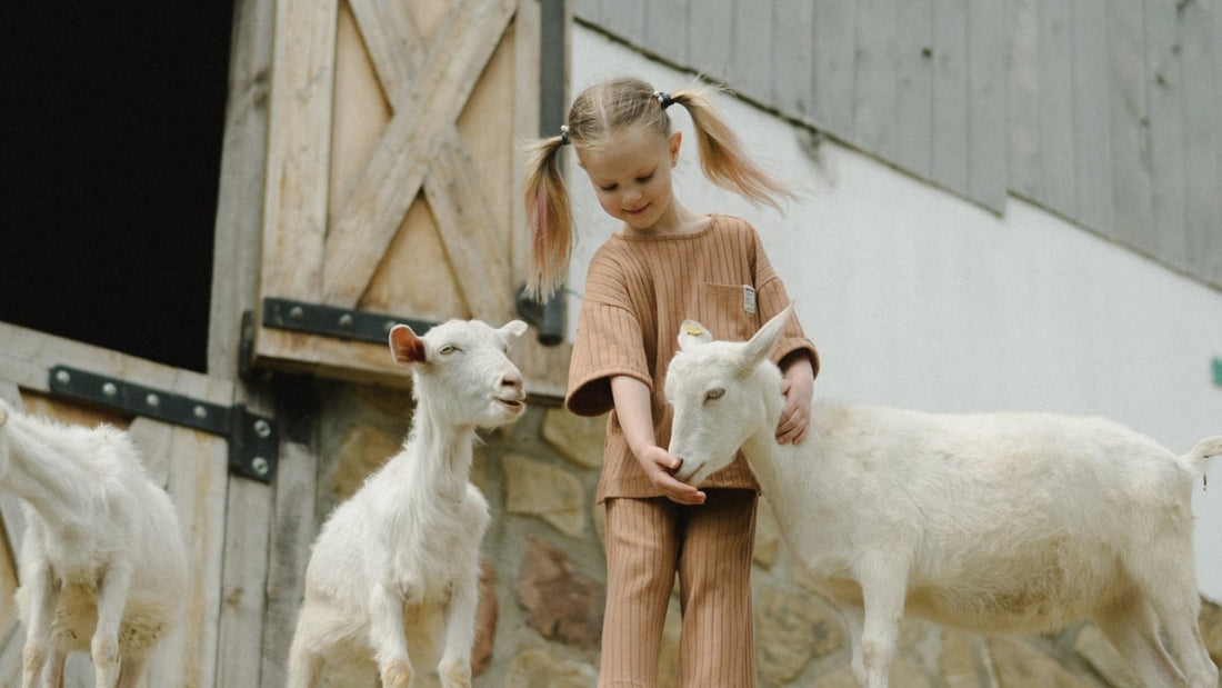 3 Façons d'élever des enfants indépendants - Monti Family