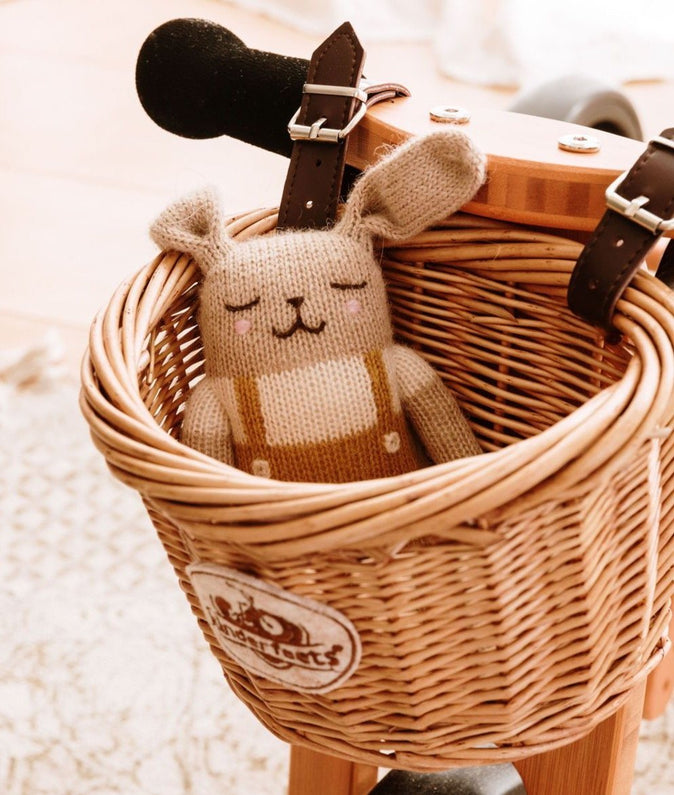 Panier Draisienne - Monti Family